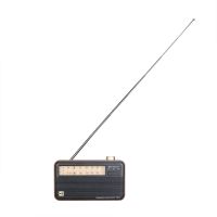 fm radio with telescopic antenna