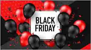 The 2024 Black Friday Promotion for Guest Paging System doloremque