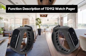 Function Description of TD112 Watch Pager doloremque