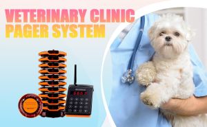 Animal Shelters & Veterinary Clinic Pager System Solutions doloremque