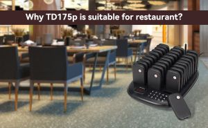 Why TD175P is Suitable for Restaurants doloremque