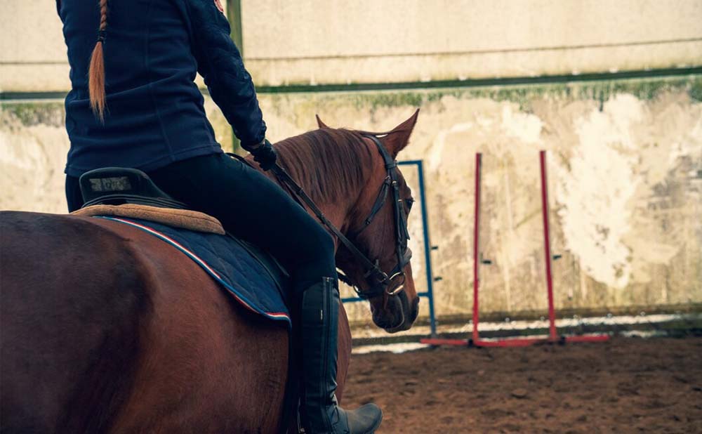 Wireless Communication Headset System for Horse Riding and Training