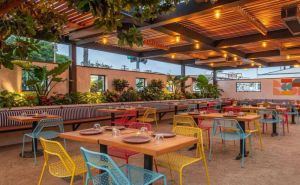 Retekess TD156 Paging System: The Ultimate Waterproof & Long-Range Solution for Restaurants and Resorts doloremque