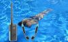 Detailed guide to using the water sports training device tt120 prime day