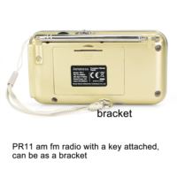 pr11 radio