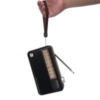 portable radio with hand strap