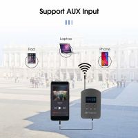 tourist-guide-system-support-aux-input